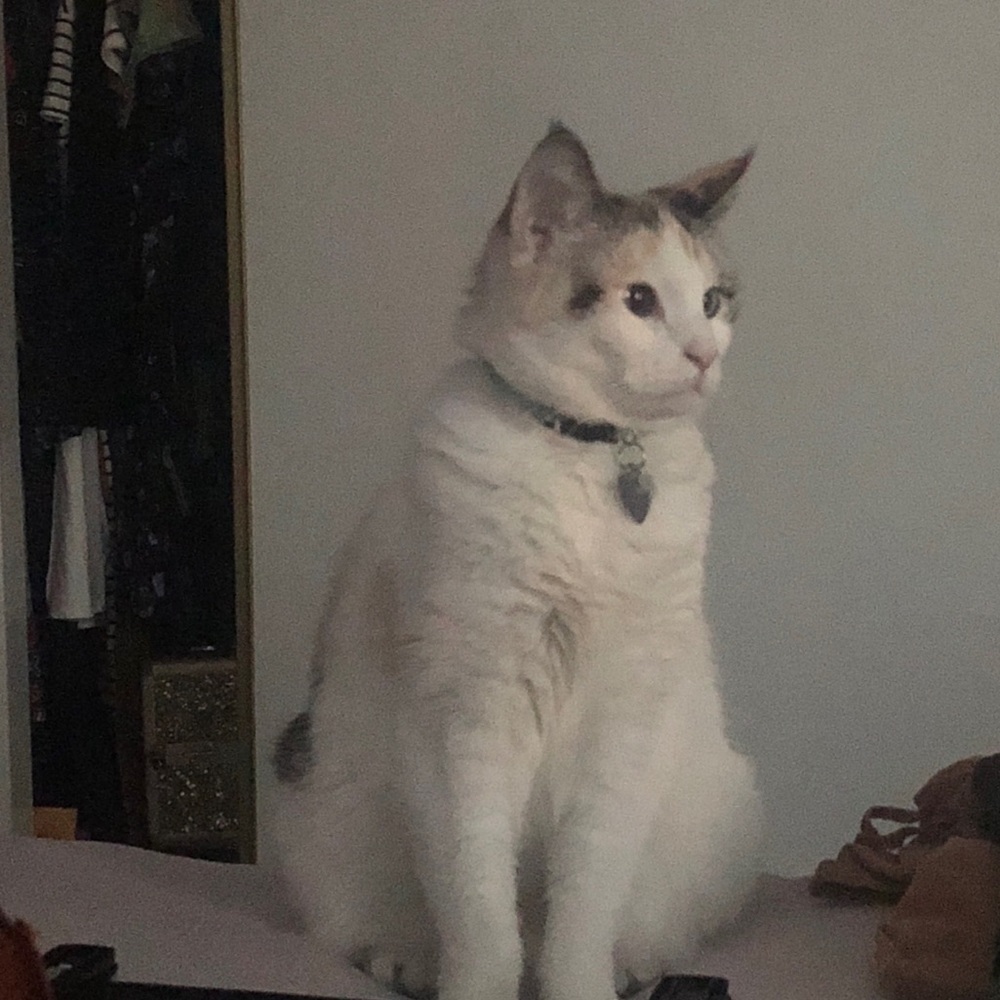 Meet your Posher, Annette